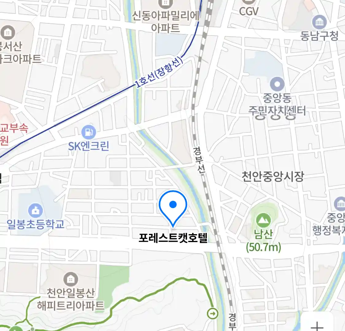 포레스트캣호텔 지도