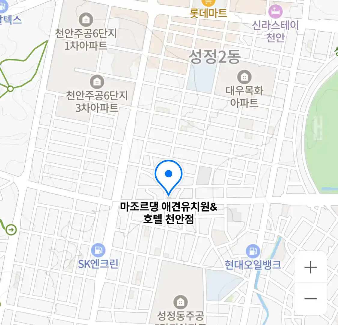 마조르댕 애견유치원&호텔 천안점