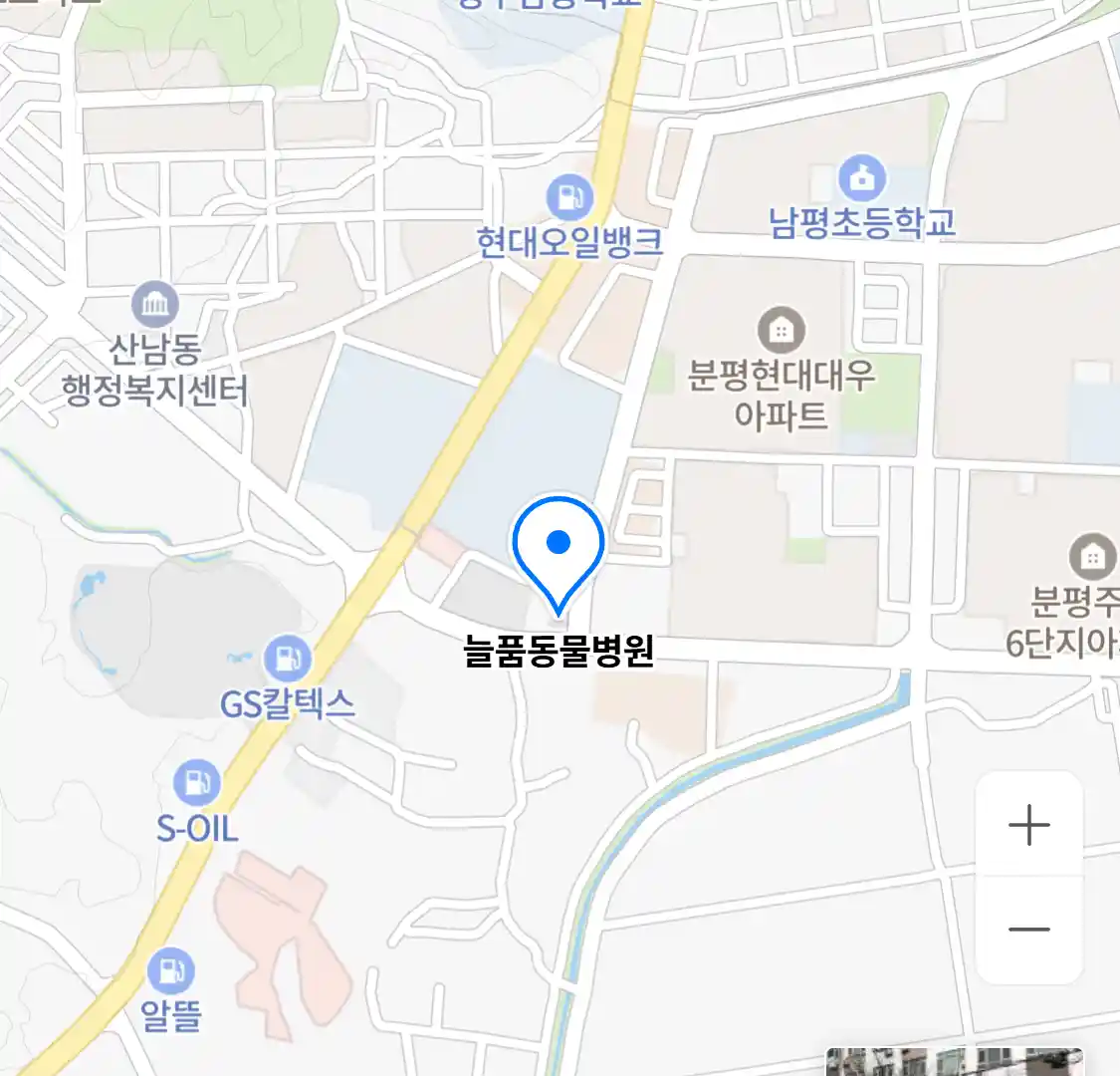 늘품동물병원