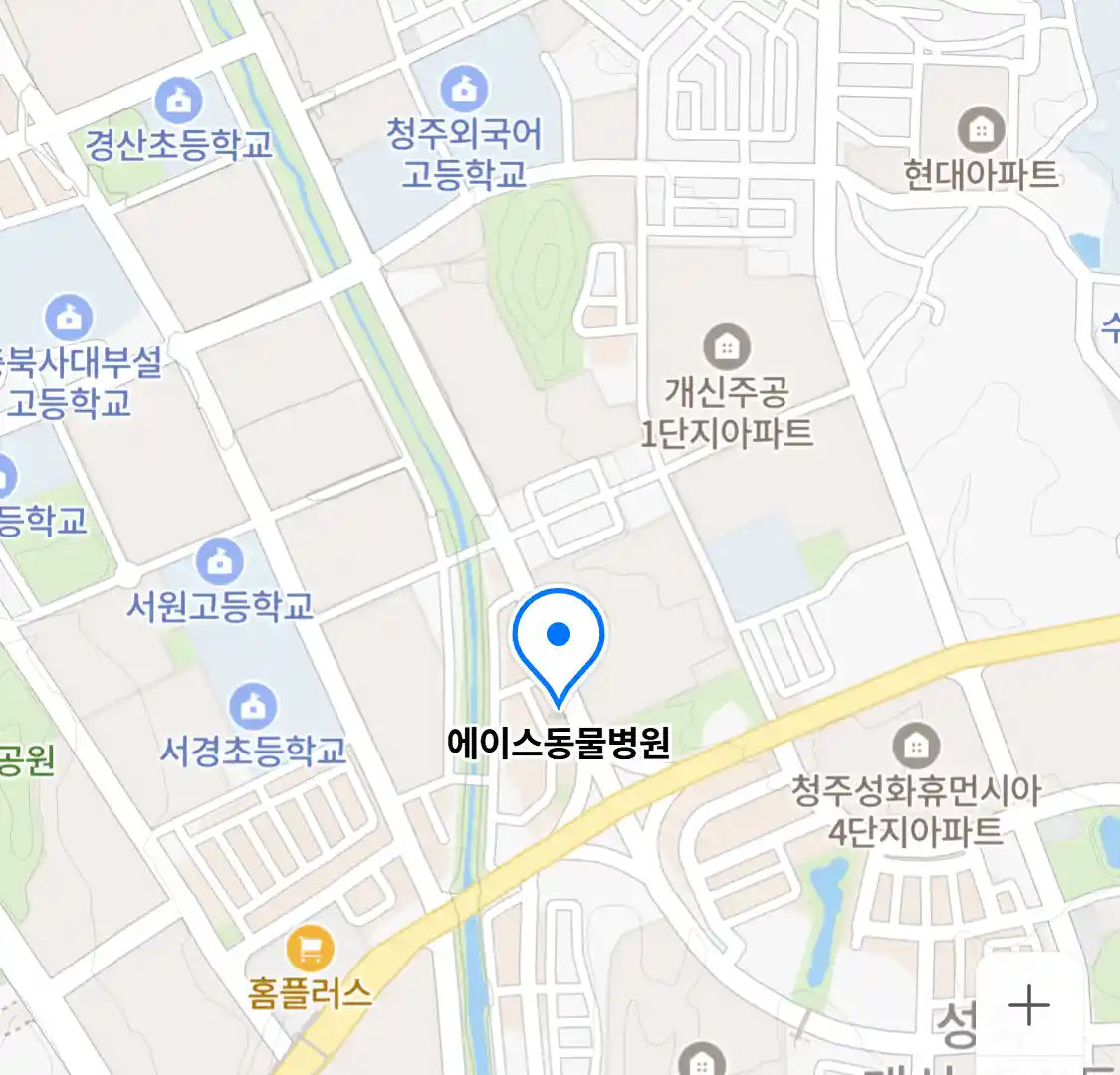 에이스동물병원