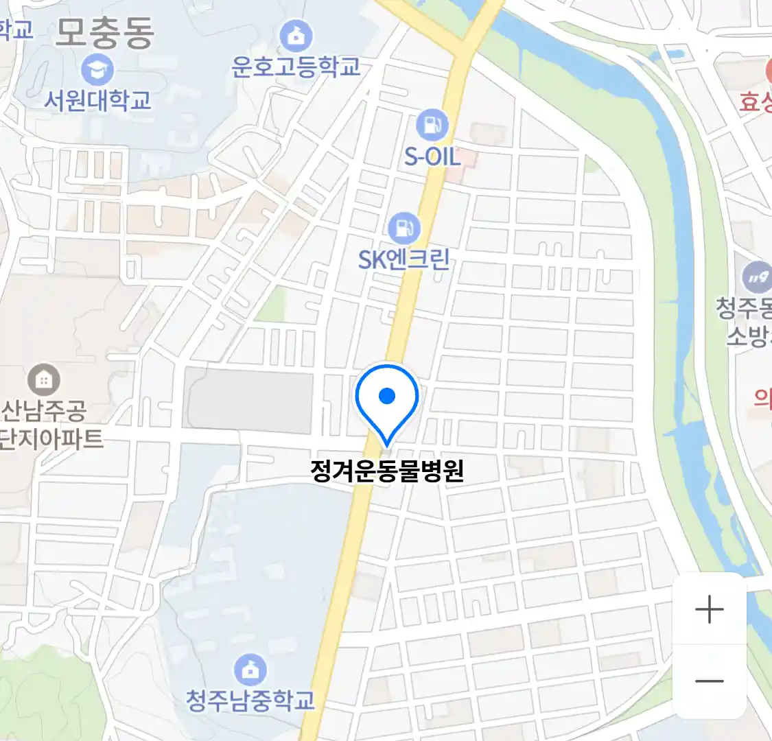 정겨운동물병원