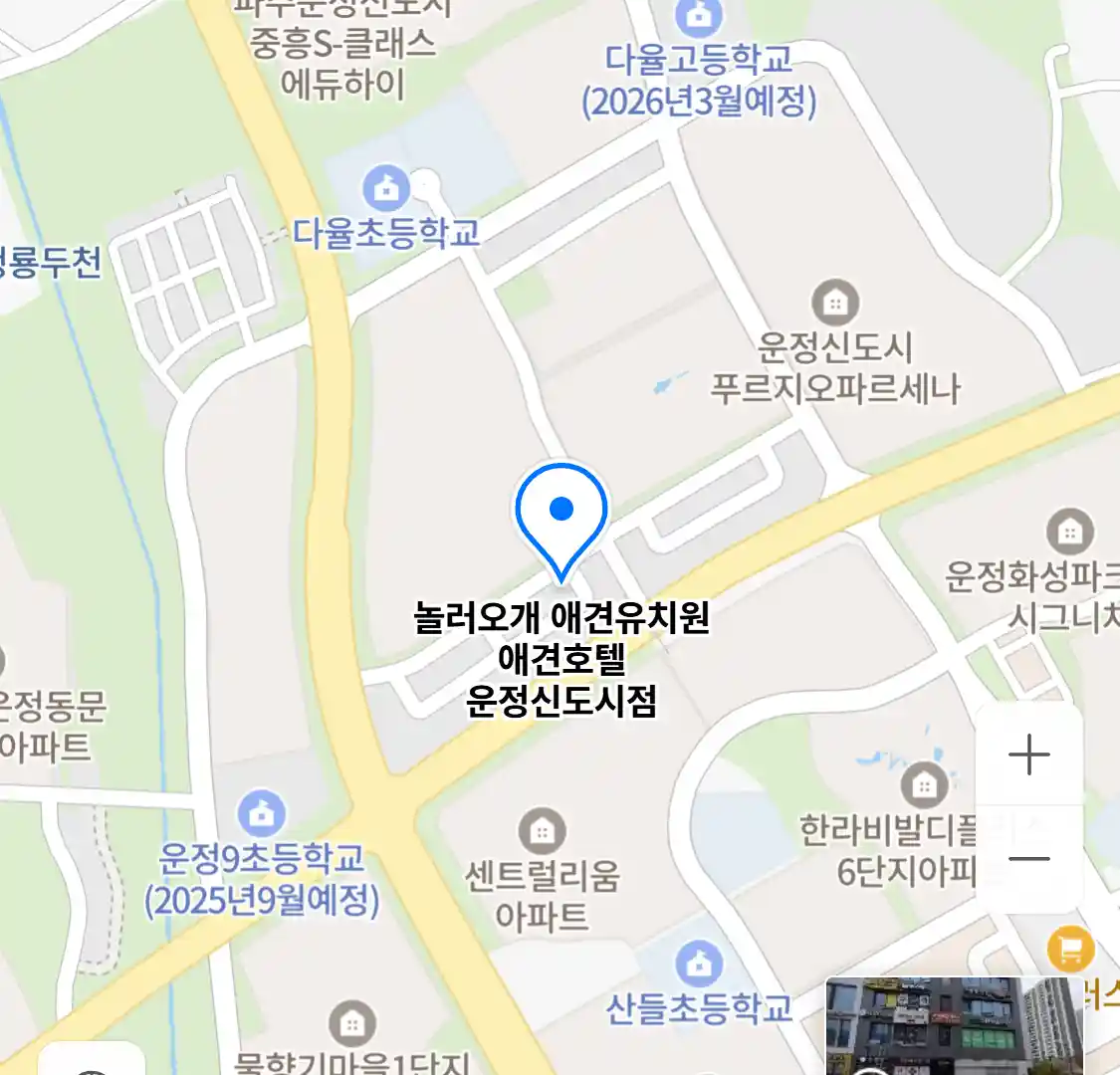 놀러오개 애견유치원 애견호텔 운정신도시점