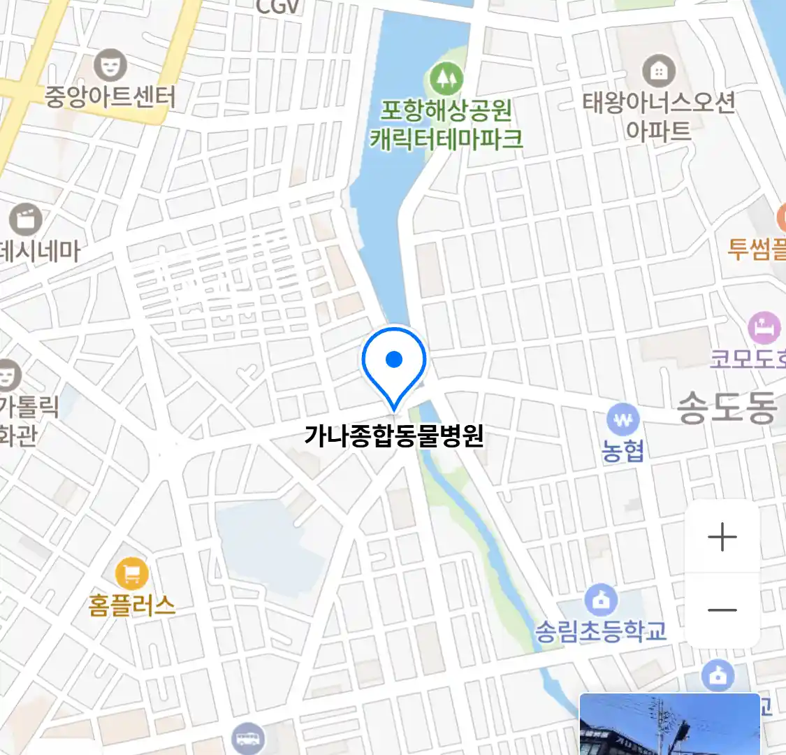 가나종합동물병원