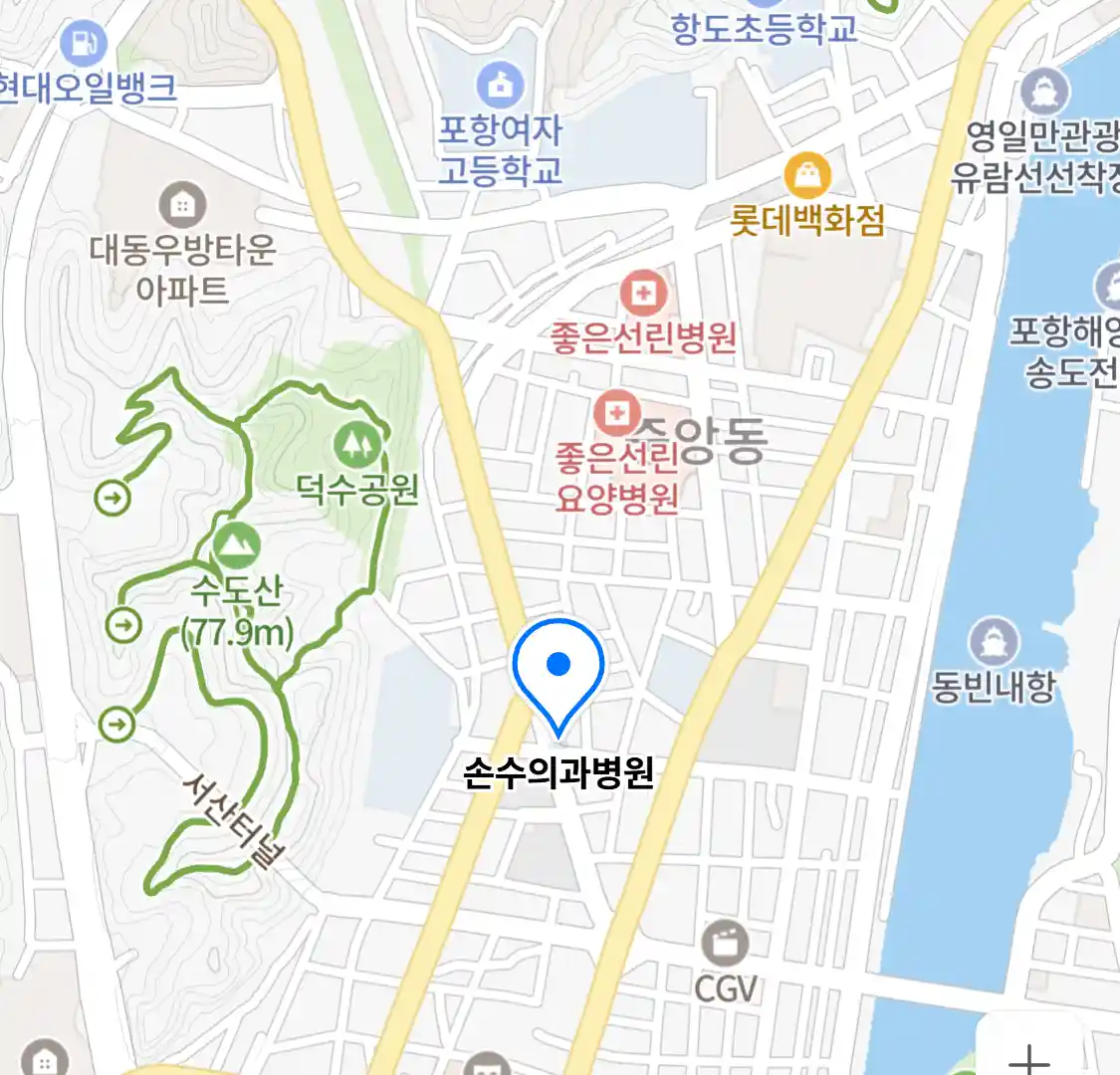 손수의과병원