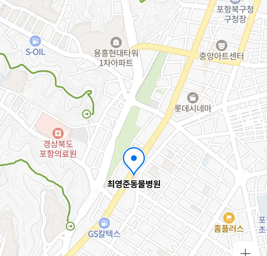 최영준동물병원