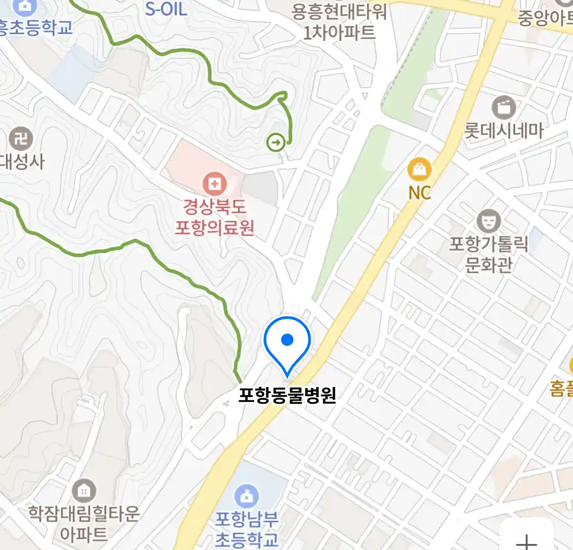 포항동물병원