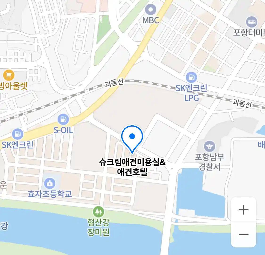 슈크림애견미용실&애견호텔