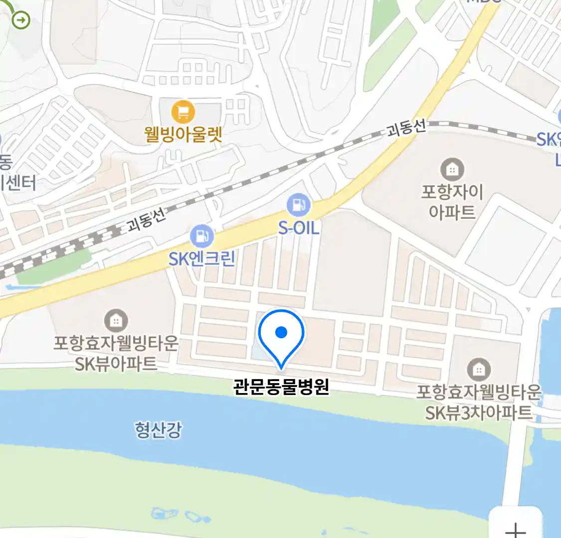 관문동물병원
