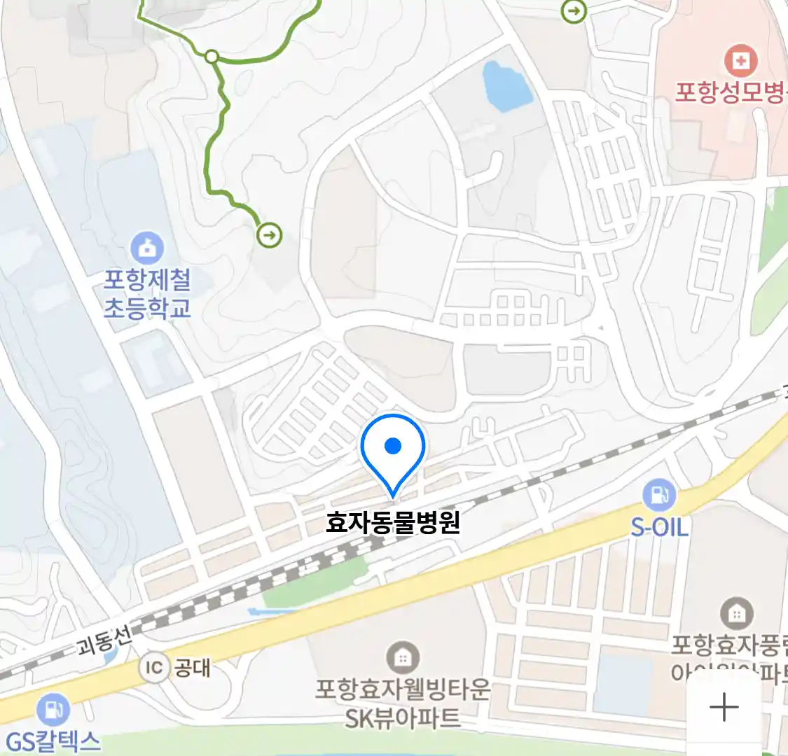 효자동물병원