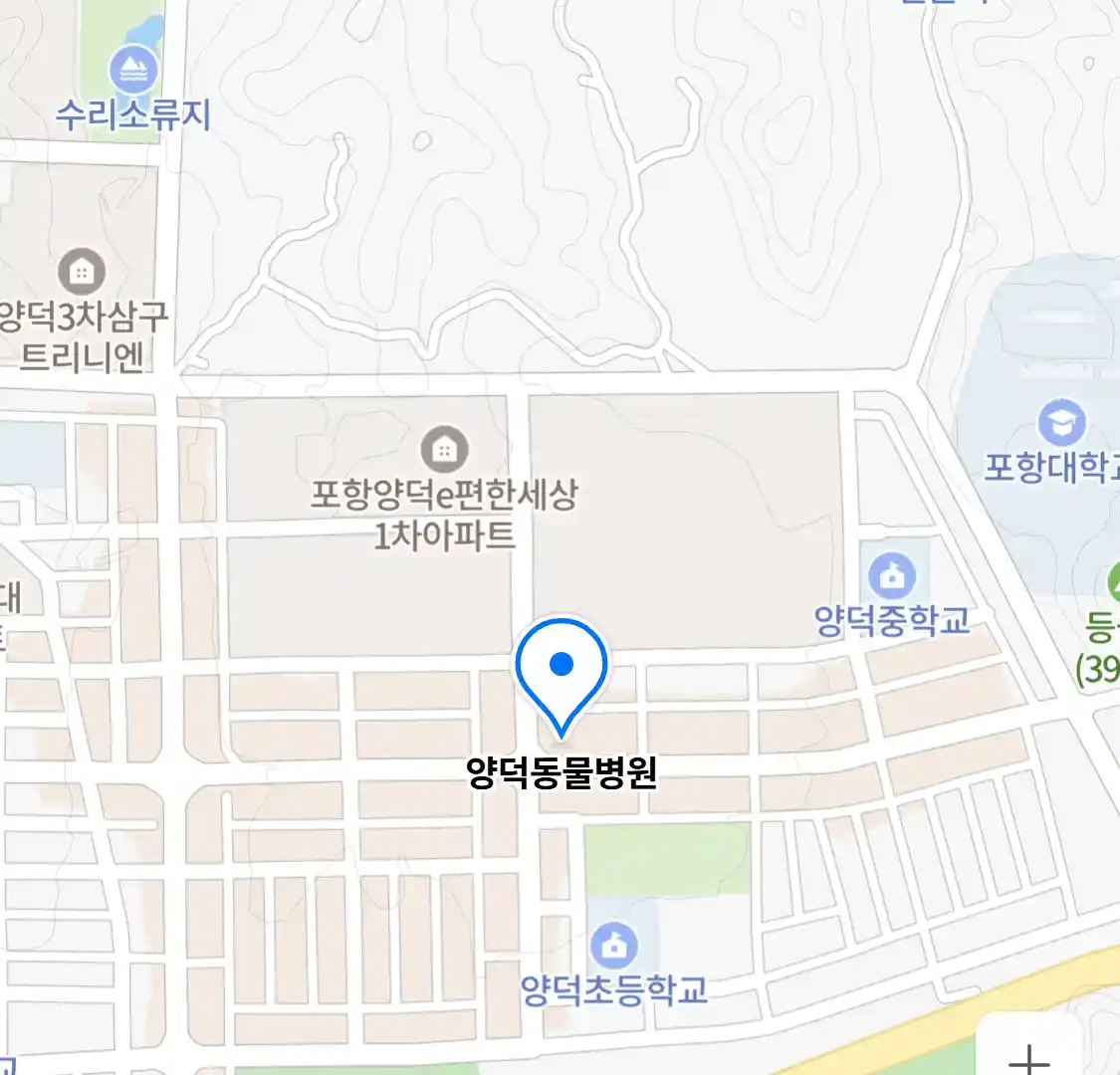 양덕동물병원