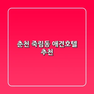 춘천 죽림동 애견호텔 추천