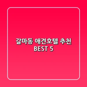 갈마동 애견호텔 추천 BEST 5