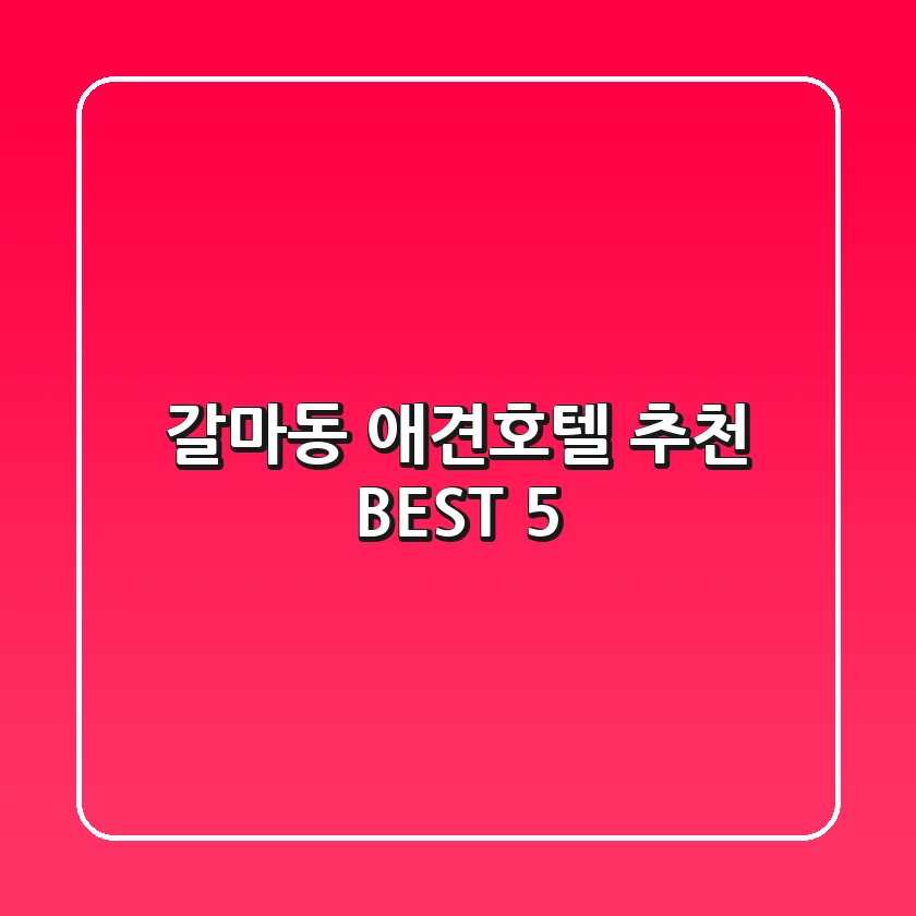 갈마동 애견호텔 추천 BEST 5