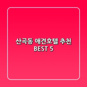 산곡동 애견호텔 추천 BEST 5