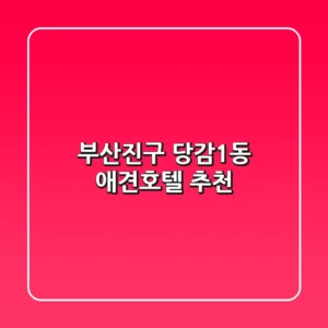 부산진구 당감1동 애견호텔 추천