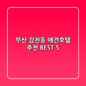 부산 감천동 애견호텔 추천 BEST 5