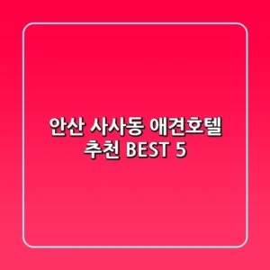 안산 사사동 애견호텔 추천 BEST 5
