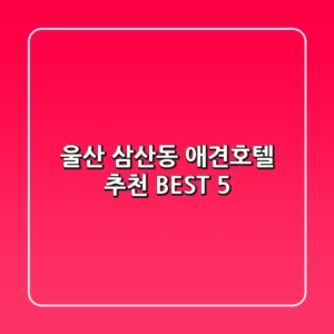 울산 삼산동 애견호텔 추천 BEST 5