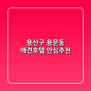 용산구 용문동 애견호텔 안심추천