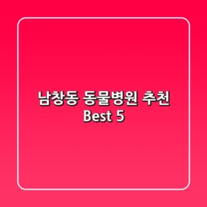 남창동 동물병원 추천 Best 5!