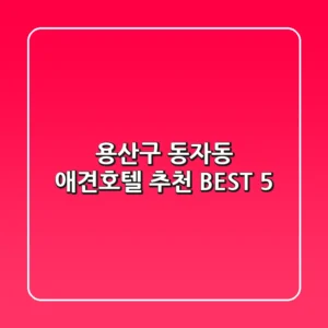 용산구 동자동 애견호텔 추천 BEST 5