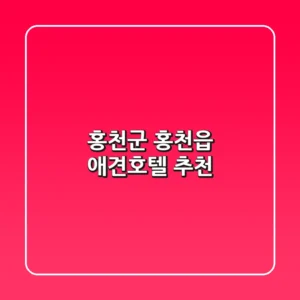 홍천군 홍천읍 애견호텔 추천