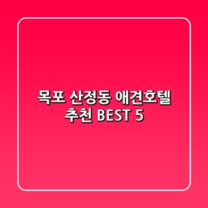 목포 산정동 애견호텔 추천 BEST 5