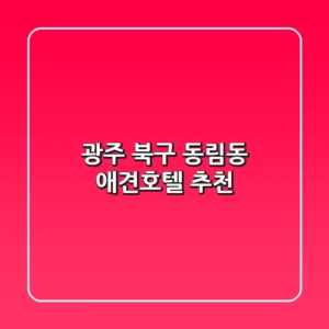 광주 북구 동림동 애견호텔 추천