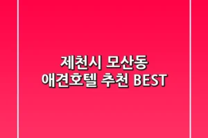 제천시 모산동 애견호텔 추천 BEST