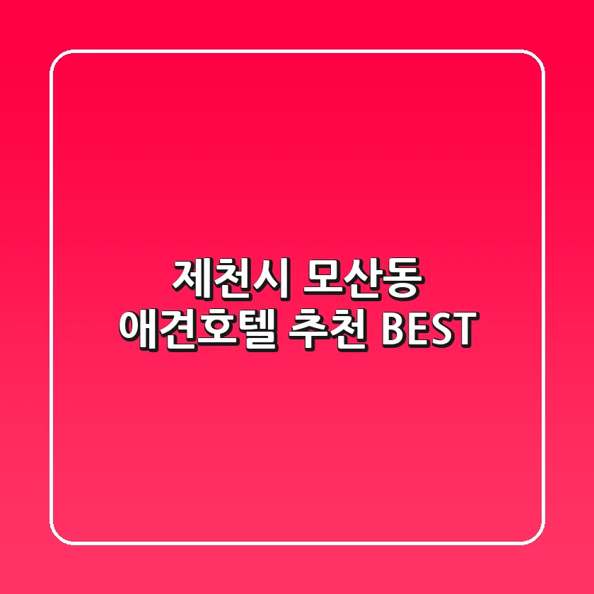 제천시 모산동 애견호텔 추천 BEST