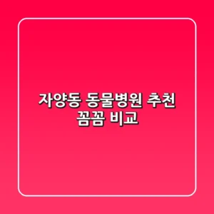 자양동 동물병원 추천 : 꼼꼼 비교