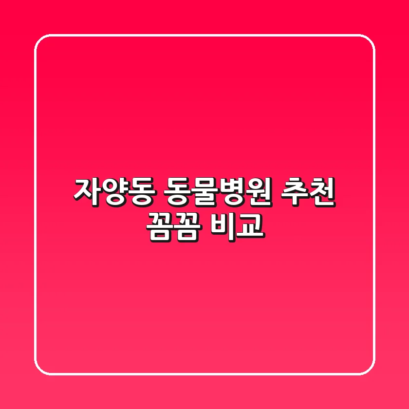 자양동 동물병원 추천 : 꼼꼼 비교