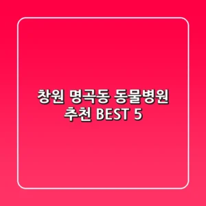 창원 명곡동 동물병원 추천 BEST 5