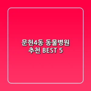 문현4동 동물병원 추천 BEST 5