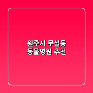 원주시 무실동 동물병원 추천