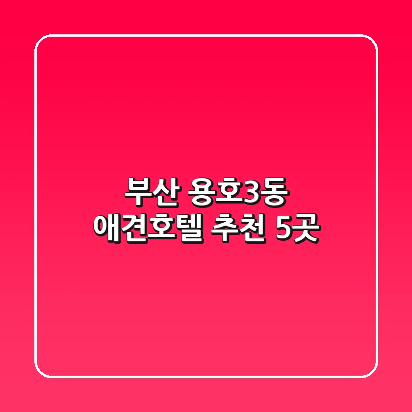 부산 용호3동 애견호텔 추천 5곳