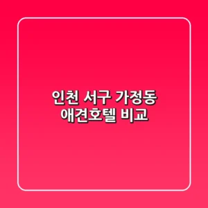 인천 서구 가정동 애견호텔 비교