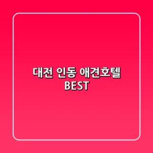 대전 인동 애견호텔 BEST