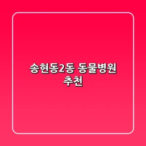 송현동2동 동물병원 추천