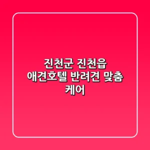진천군 진천읍 애견호텔: 반려견 맞춤 케어
