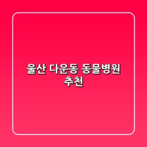울산 다운동 동물병원 추천 🐾