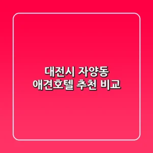 대전시 자양동 애견호텔 추천 비교