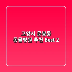 고양시 문봉동 동물병원 추천 Best 2