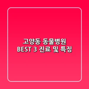 고양동 동물병원 BEST 3: 진료 및 특징