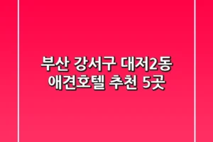 부산 강서구 대저2동 애견호텔 추천 5곳