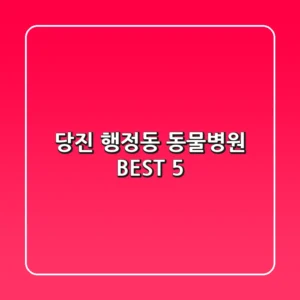 당진 행정동 동물병원 BEST 5