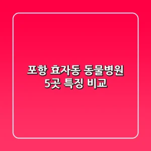 포항 효자동 동물병원 5곳: 특징 비교