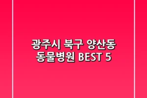 광주시 북구 양산동 동물병원 BEST 5