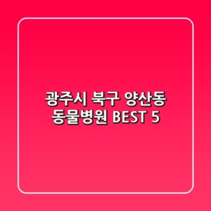 광주시 북구 양산동 동물병원 BEST 5