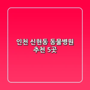 인천 신현동 동물병원 추천 5곳